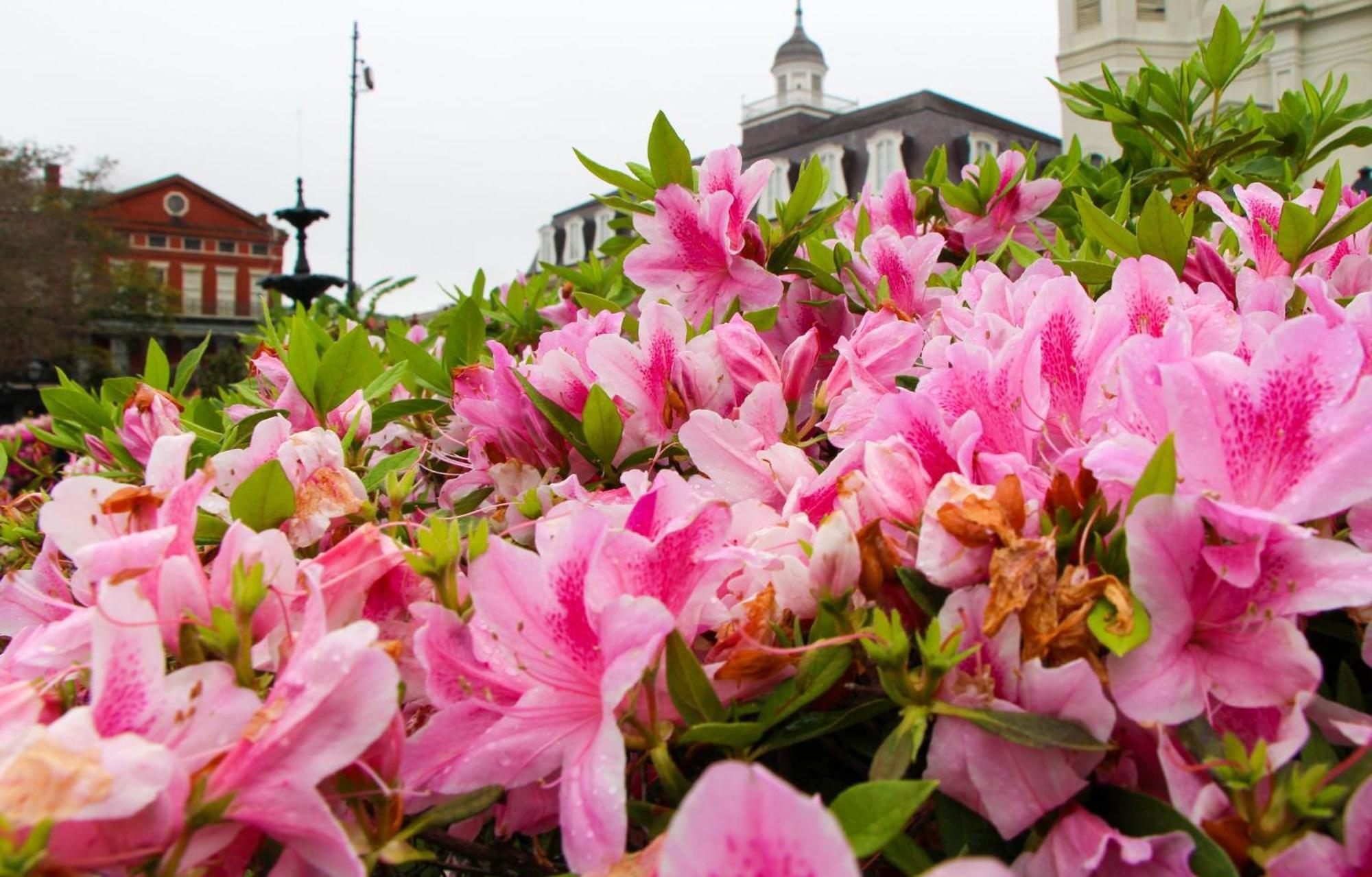 Holiday Inn Express New Orleans - Arts District By Ihg Екстер'єр фото